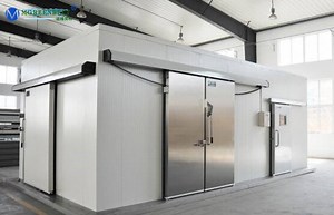 [Hot Item] Cold Room Chiller Storage Walk in Freezer for Vegetable and Fruit