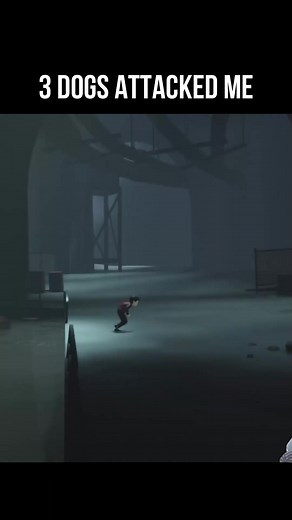 3 dogs attacked me #FBExclusive #TrinityReelsChallenge #GamingOnReels #reels #pcgamer #pcgaming #inside | VT Gaming