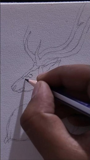 Simple Deer Pencil Sketch