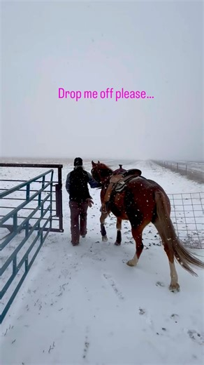 Low Stress Cattle Handling Moving Cows #cow #cattle #ranchlife #stockmanship #cattlehandling