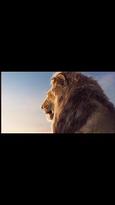 22K views · 1K reactions | Simba and his father conversations #fypシ #fypシ゚ #happiness #simba | SM Global Prince Film Production | Facebook