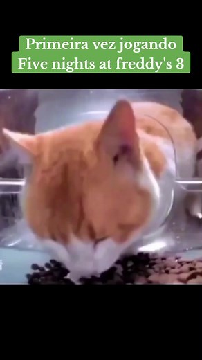 Afton e o Mistério de FNAF: Uma Nova História