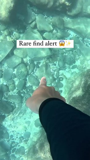 ✨Marble Cone✨ & in great condition! These cones like many others can be venomous so use caution if you see one! This one has rocks wedged inside the opening which is always a good indication that the shell is uninhabited and safe to grab 🐚✨ #seashells #hawaii #oahu #treasure #handmadejewelry