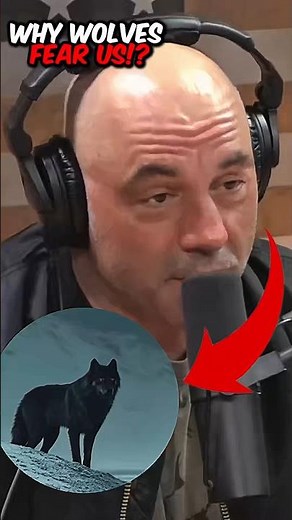 Joe Rogan Reveals Why Wolves Avoid Humans 😳 |