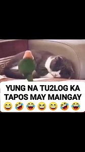 Abugbug a birdiee 🤣🤣🤣😁😂😆 | RapRap Vlogs