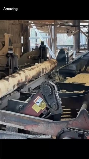 Amazing Excavator Skills in Action