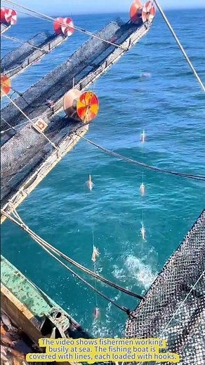 Spectacular Fishing Operation: Hooks Pulling Up Fish Nonstop.
