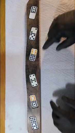 Adding Real Dominoes to the Front