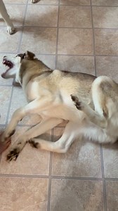 161K views · 5.2K reactions | ⚠️ Viewer discretion advised ⚠️ I’m...