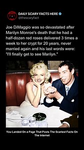 After Marilyn Monroe’s death in 1962, baseball legend Joe DiMaggio was devastated. For 20 years, he had red roses delivered to her crypt three times a week and never remarried. His devotion lasted until his final breath — his reported last words were, “I’ll finally get to see Marilyn.” A love story turned tragedy, remembered in eternal roses. 🔴 Follow @thescaryfact for more haunting stories of love, loss, and devotion. | thescaryfact