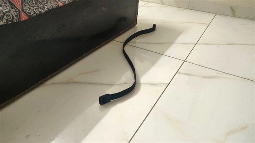 R I S H on Instagram: "A mini stop motion I made for our animation course this semester The task was to animate a snake or worm using an everyday object so I stole @om_dayal17 ’s belt and tried to recreate one of @kevinbparry ’s animations It was my first time doing stop motion, took a bit to get the motion right, but after a few trials I finally got it close to what I wanted. Also got a surprise leg workout from all the squats between adjusting the belt and running back to the camera. Excuse th