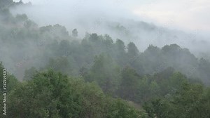 4K Timelapse Foggy Forest in Mountains, Mystical Fog, Raining, Mist Smoke over Alpine Wood Overcast, Bad Weather