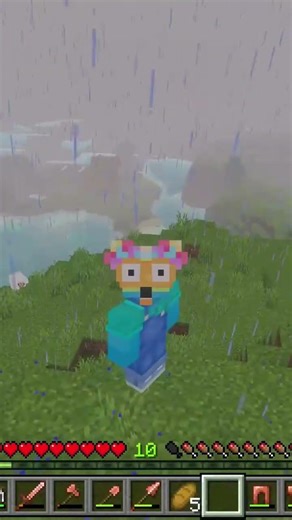 fun skin I made on Minecraft #minecraft