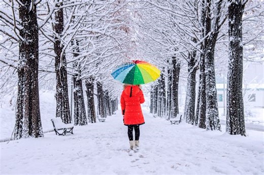 Brighton's weather forecast for December 4: Snow squalls and very windy - The Weather Network