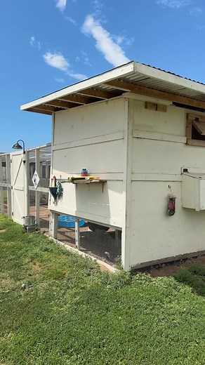 We have no shade (and planting trees is expensive, they’re hard to establish, and we have no good place left for them) so don’t suggest trees. #chickenschmidtfarms #fyp #reels #enrichment #backyardflock #chickens #summer #hot #shade #backyardchickens | Chicken Schmidt Farms