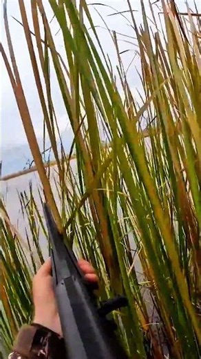 The Cleanest Duck Shots Ever? 😱|#birdhunting #hunting #huntingbirds #hunter #yt #duck #duckhunter