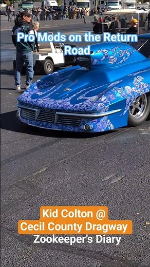 Pro Mod Return Road Corvette Camaro Cecil County Dragway NHRA points race Kid Colton drag racing