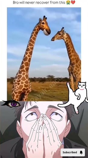 #nobatidao 🦒