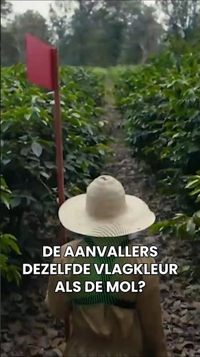 🚩 The Mole with the same flag as Jager | Who is the Mole? season 26 #widm #wieisdemol
