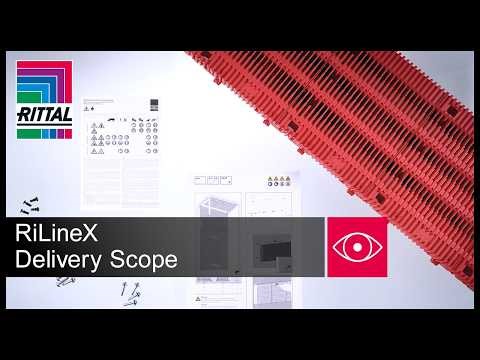 RiLineX – Delivery Scope