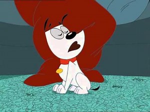 Poochini - Episode 56 - Hurricane Poochini