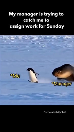 It’s Friday at 4:59 PM and Your Manager Sees You#viral #funny #trending #memes #relatable #shorts