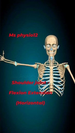 Shoulder joint -Flexion Extension(Horizontal)