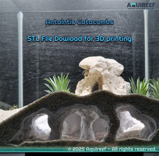 Aquarium & Terrarium Decor Cave | 3D Print Fish Tank Hide | Terrarium Pet Shelter | Atlantis Catacomb Style Cave STL - Etsy