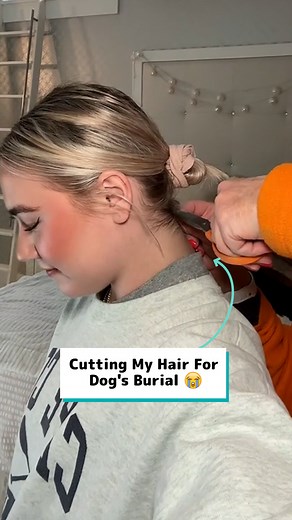 135K views · 98 reactions | Cutting my hair for my dog's burial   | Craft Factory | Facebook