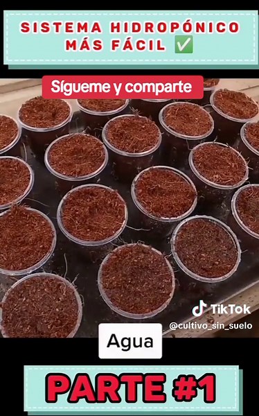 Cómo construir un sistema hidropónico casero