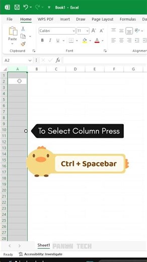 Excel Shortcut: Select Column & Row in Seconds | Ctrl + Space & Shift + Space