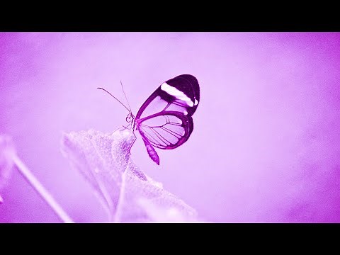Deep Spiritual Meditation | 432hz Healing Tones | Miracle Love Music | Relaxing Sounds