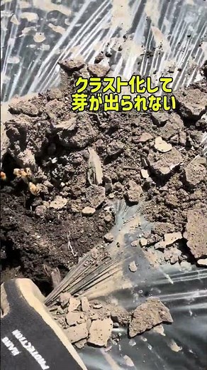 芽が出ない原因…まさかのコレでした