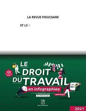 Le droit du travail en infographies pratiques 2021
