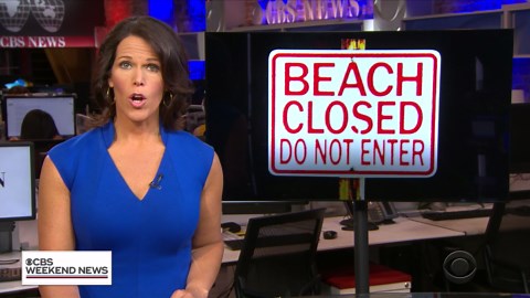 Toxic algae bloom plagues all of Mississippi's beaches