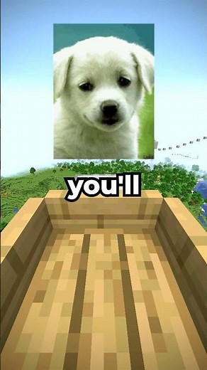 Which Features? 🎮🎮