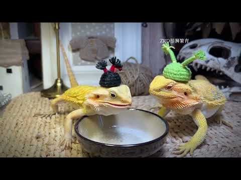 Adorable Personality with Clear Goals & Strong Actions - The Bearded Wonder