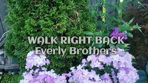 WALK RIGHT BACK - Everly Brothers (1959) | MUSIC of MY LIFE