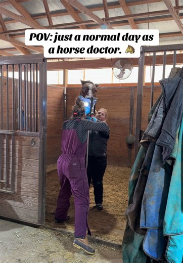 A Day in the Life of a Horse Doctor