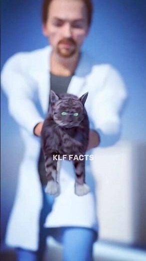 बिल्ली को बुर्ज खलीफा से गिराने पर क्या होगा ? 😱😲 #facts #factshorts #shortsvideo