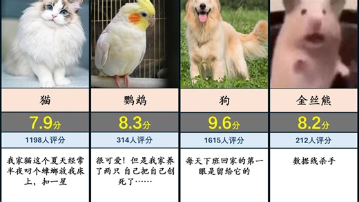 最可爱的宠物评分排行