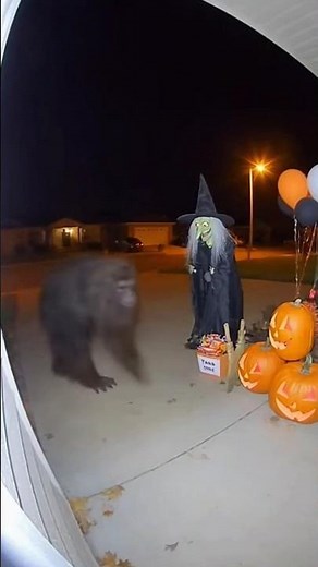 Bigfoot vs Halloween Funny Prank Viral Video