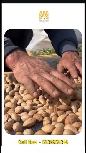 How Farmers Are Adopting Solar Dryer Technology | Kashmir Farmer Story