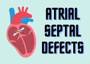 The Fetal Heart and Atrial Septal Defects