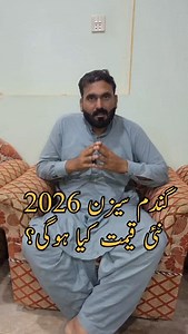 4.5K reactions · 72 shares | wheat new price session 2026 #wheat #farming #agriculture | Hum Kissan Hamara Pakistan2 | Facebook