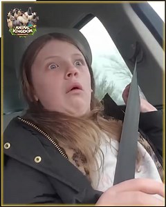 1.9K views · 14 reactions | Funny Mishaps | Myanmar Box | Facebook