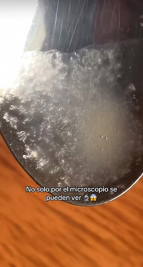 Telescopio vs. Microscopio: ¿Cuál ver?