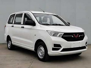 2020 WULING HONGGUANG S EV (Electric Car) Revealed for the First Time in China
