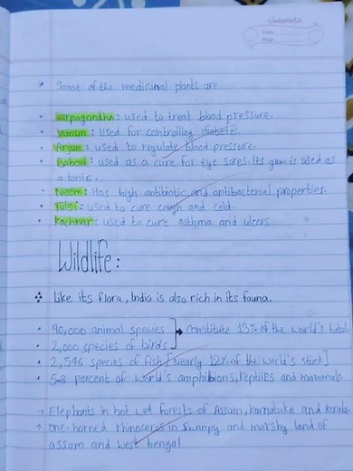 class 9 NCERT geography chapter 5 natural and wildlife vegetation notes (magnet brains)