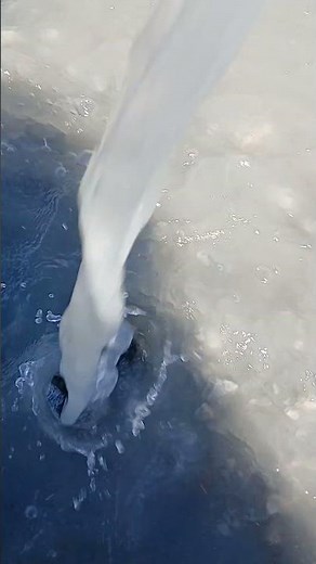 free cup scooping and dumping of water sound effect